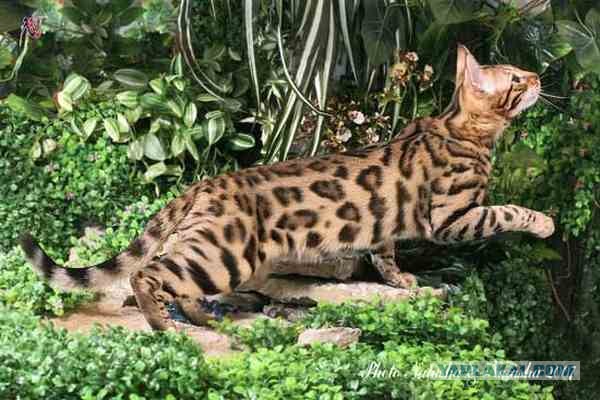 Живой, надо же!