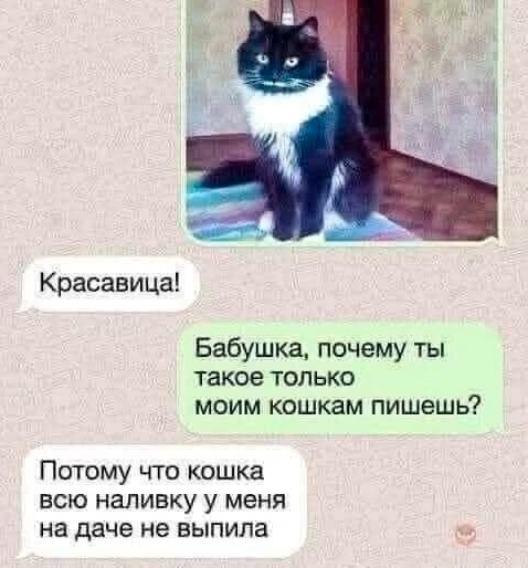Так себе картинки 19.05.25