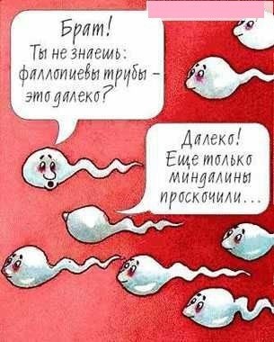 Картинки разные для настроения