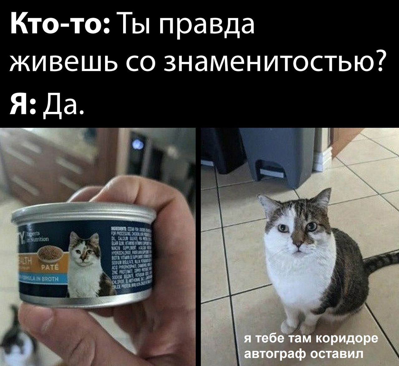 20138891.jpg