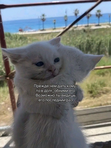 Начинайте свой день с чего-то положительного