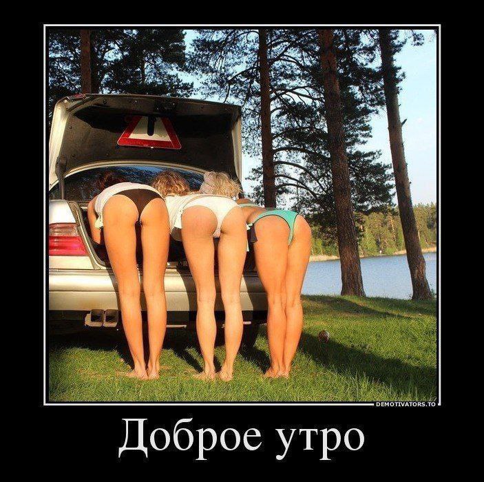 Забавные и не очень скромные картинки — 7