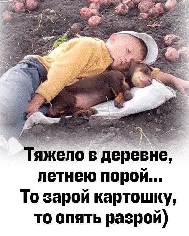 Так себе картинки 18.08.25