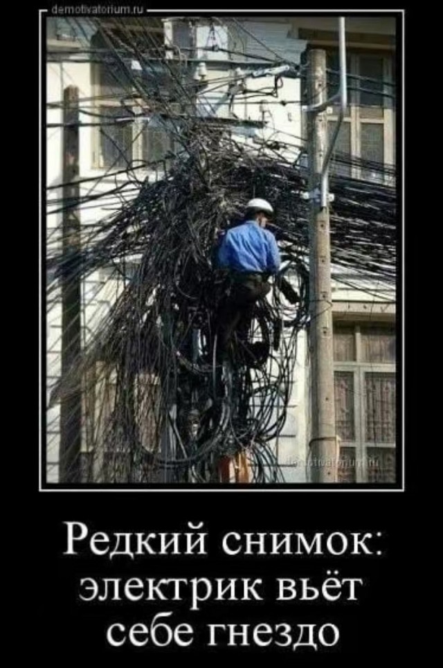 Так себе картинки 16.10.25