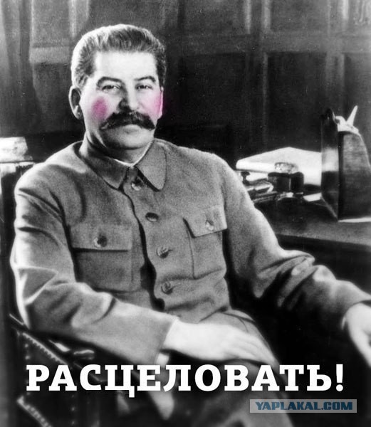 Турецкий кот.