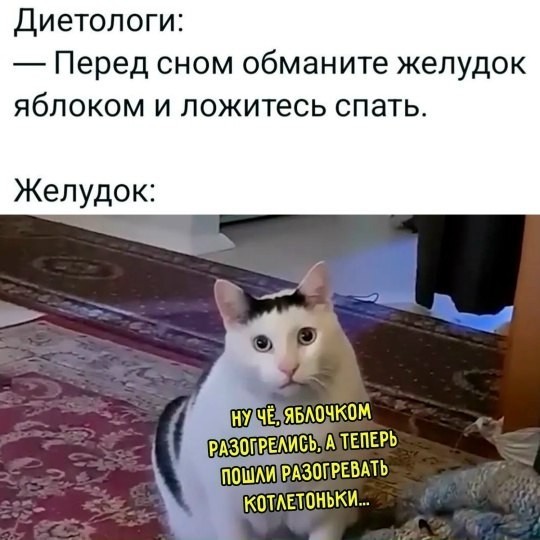 Весёлый полтишок 11.12.25