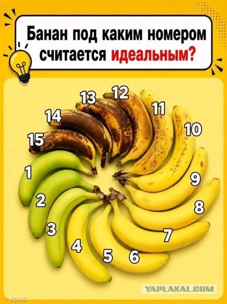 Так себе картинки 01.09.26