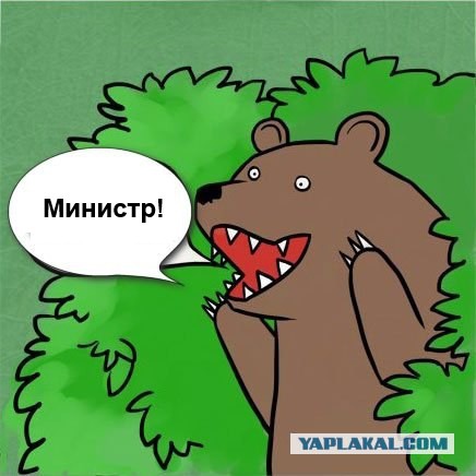 Знакомьтесь, секс-министр Ставрополья