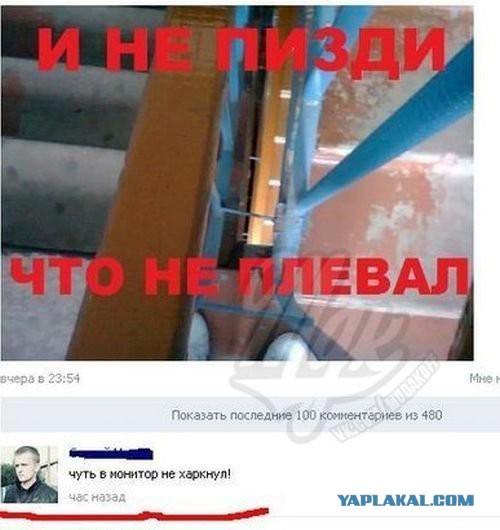 Смешные комментарии из соц. сетей