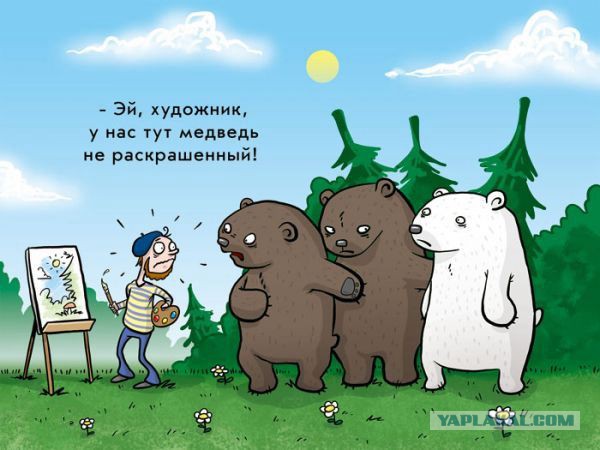 Медведи почти на все случаи жизни