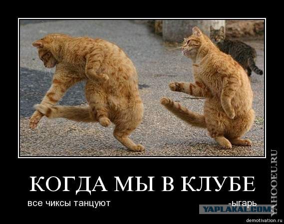 Добряки, плюсующие всех подряд