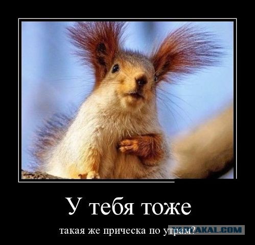 Не юкки ради, улыбки для...