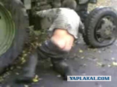 Утренний бред