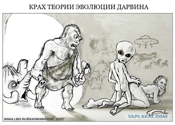 Прикольные картинки.