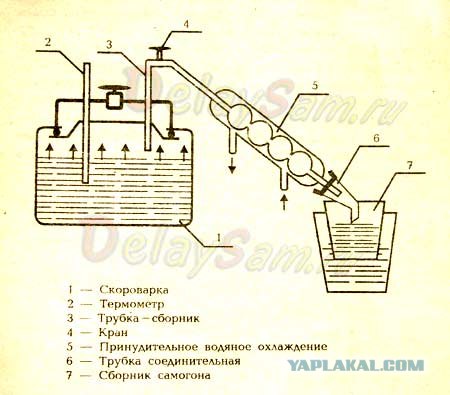 Дума запретила продажу пива ночью