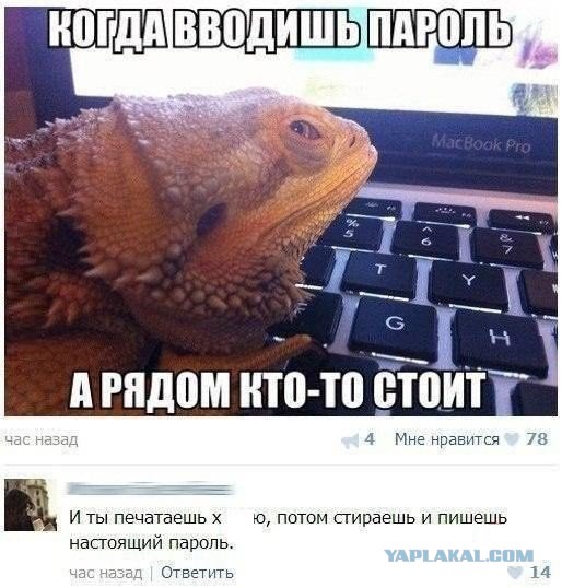 Смешные комментарии из социальных сетей