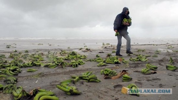 10  странных вещей, которые выбросило море