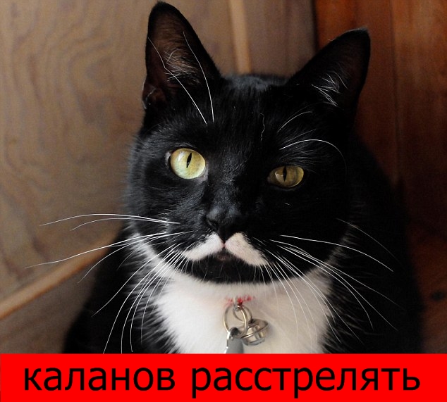 10 самых невероятных существ в мире