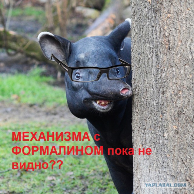 Вместе – мы сила