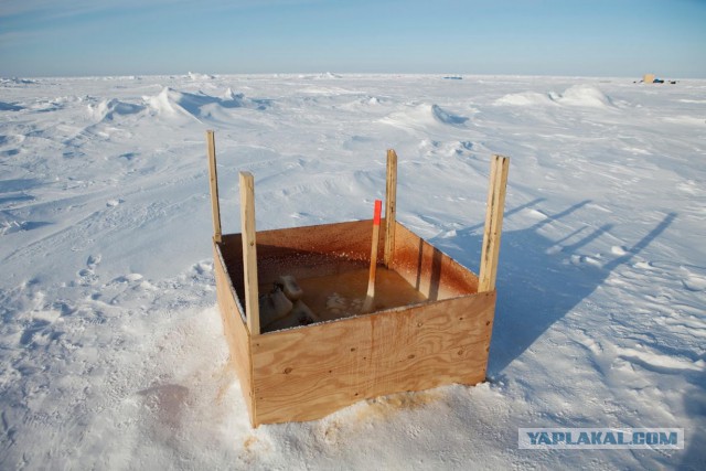Туалеты в разных уголках планеты