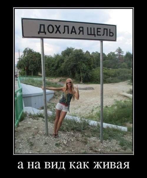 Прикольные картинки