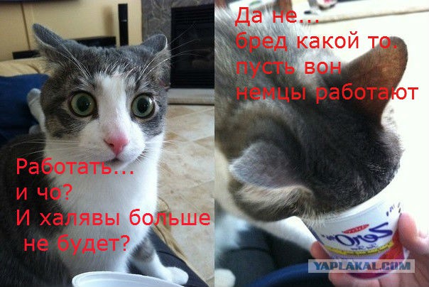 Меркель потребовала отменить соцпособия для мигран