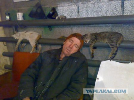 Помощь по-соседски