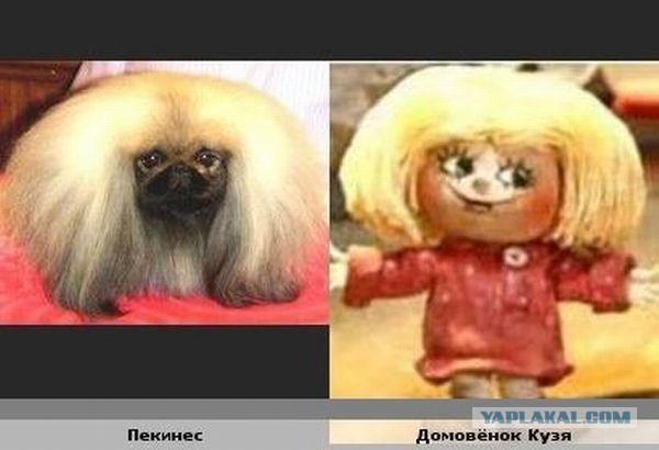 Бывают в жизни совпадения