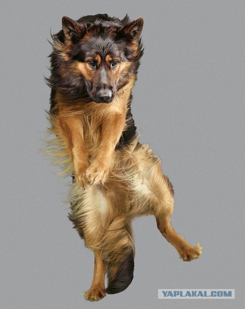 Подборка картинок 29.03.16