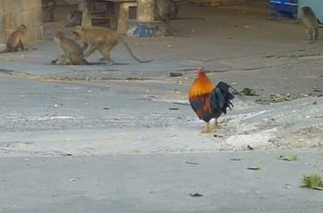 Абсурдный юмор ч.22