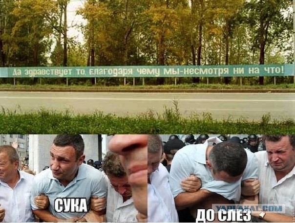 Картинки для поднятия настроения - 4