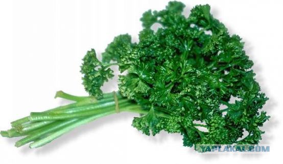 Бюджетная дача своими руками