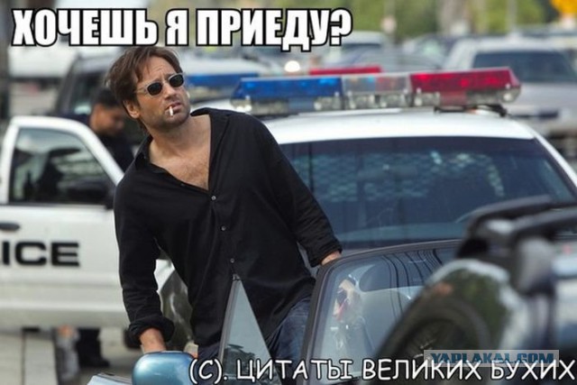 Где Клуб Любителей Алкоголя?