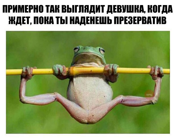 Юмор не для всех
