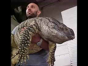 Картинки с буквами, со смыслом и без
