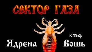 Лобковая вошь может исчезнуть как вид