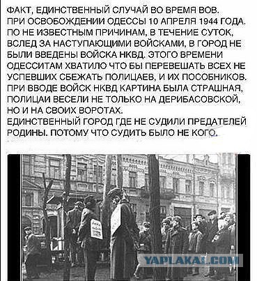 Полиция жёстко угомонила неонацистов в Одессе