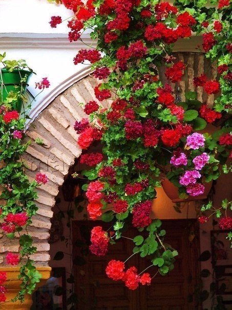 Фото интересные и не только