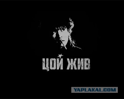 Рок-фестиваль «КИНОпробы»