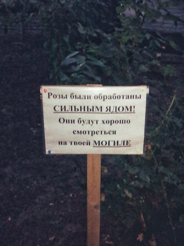 Приколы в стиле "регресс"