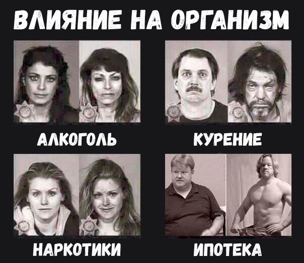 Подборка интересных и веселых картинок