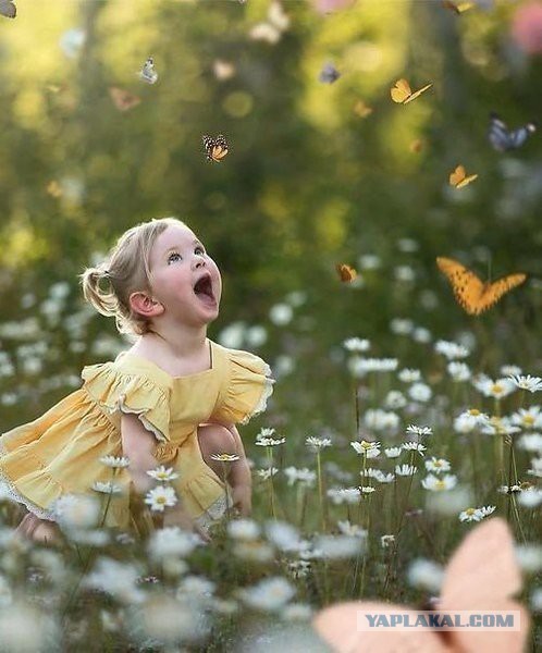 Немного милых жипегов