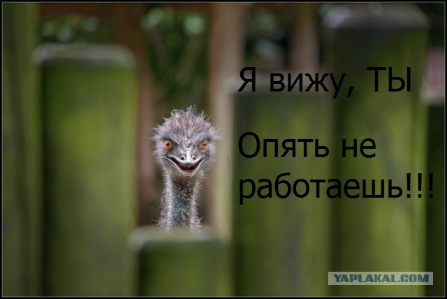 Ну что тут у вас?