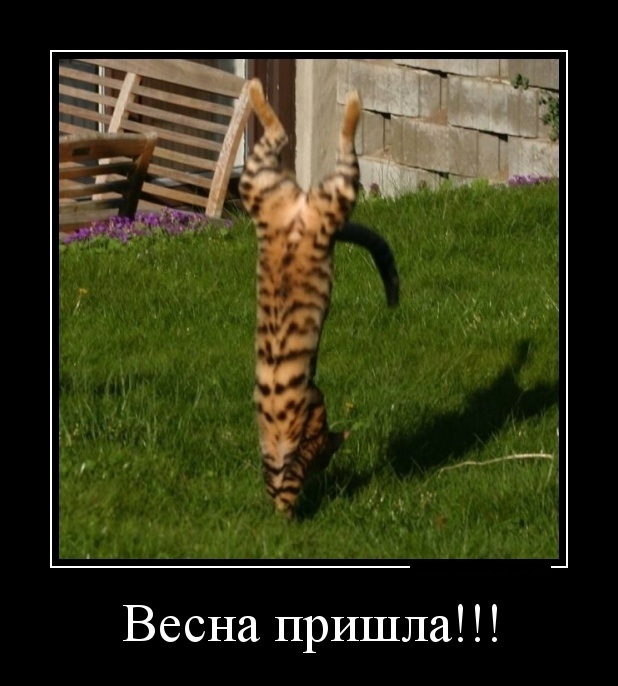 Пазитивные картинки на 18.05.2020