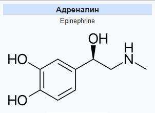 70 безумных и забавных фактов
