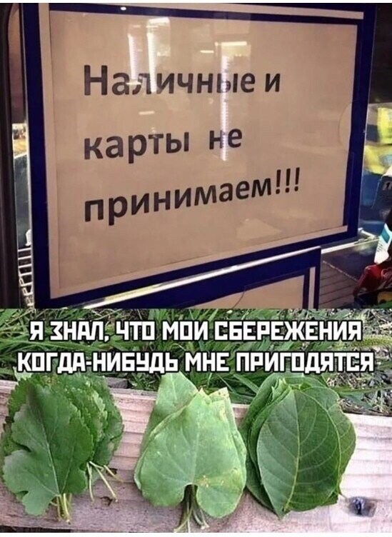 Немного картинок для настроения 24.10.20