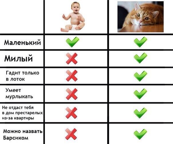 Юмор в картинках 6.12.20