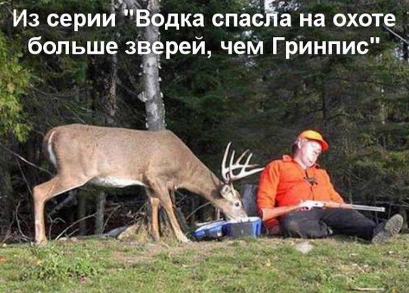 Картинки и мемы для настроения