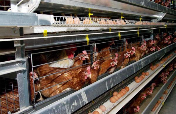 Хотели как в Гонконге?