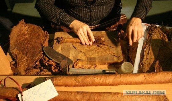 Скромная домашняя фабрика